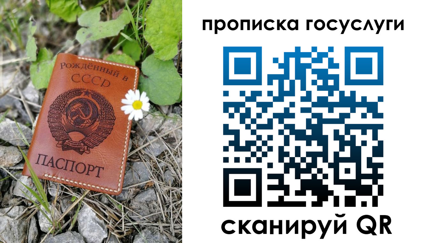 прописка от собственника в Мурино